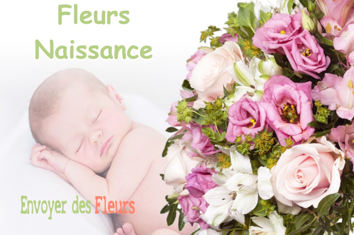 lIVRAISON FLEURS NAISSANCE à LOISIA